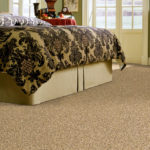 Port Coquitlam Carpet Options