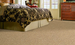 Port Coquitlam Carpet Options